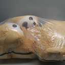 HollyHOME Teddy Bear Stuffed Animal Plush Giant Teddy Bears with Footprints Big Bear 36 inch Tan