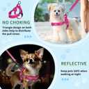 SlowTon No Pull Small Dog Harness and Leash Set, Puppy Soft Vest Harness Neck & Chest Adjustable, Reflective Lightweight Harness & Anti-Twist Pet Lead Combo for Small Medium Dogs (Fuchsia, XXS)