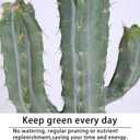 Artificial Cactus Potted Plant 40 Inch Faux Desert Cacti Fake Big Cactus Plant for Home Garden Office Indoor Outdoor Decoration