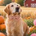 Maca Bates Halloween Collars for Dogs Cotton Soft Pumpkin Dog Collar with Metal Buckle Dog Collar with Bow Tie Adjustable for Small Medium Large Dog