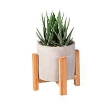 Bambeco Succulent without Wood Stand, 16 in