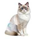 Disposable Cat Diapers, 38 Count – Perfect for Both Male and Female Cats, for Elderly, (L) Incontinent, or Post-Surgery Cats and Dog – Leak-Proof, Super Absorbent & Hypoallergenic Pet Diapers