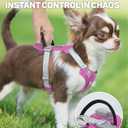 TagME No Pull Dog Harness with 2 Leash Clips,Lightweight & Visible for All-Day Walking,No Choke Pet Vest Includes AirTag Holder for Puppy,Fuchsia Pink