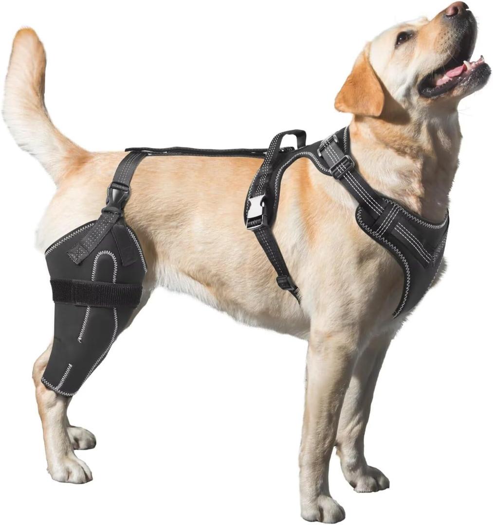 Dog Knee Brace for Torn ACL, Luxating Patella, Arthritis Support, Metal Splint Hinged Leg Brace for CCL Injury, L Size