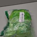 QWINEE Alien Dog Hoodie Dog Warm Jacket Coat Puppy Sweatshirt Christmas Halloween Dog Costume Cosplay Winter Dog Clothes Pet Apparel for Small Medium Dogs Cats Kitten Solid Green XXL