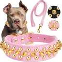 Epesiri Golden Spike Collar for Dogs, Gold Spiked Dog Collar, Durable PU Leather Studded Dog Collar with Leash, Funny Mushrooms Rivet  Pet Cat Adjustable Collar, Pink XXL