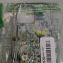 DYZTUNOCA Compatible with iPhone 16 Pro Case Wallet Cute for Women with Design,Rugged Credit Card Holder Slot Protective Phone Skin Cases Girly Design (green Vibrant Colorful Flowers)