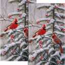 Giwawa Red Bird Hand Towels Winter Berry Bathroom Decorative Bath Towels Set of 2 Soft Absorbent Dish Fingertip Towels for Home Kitchen Gym