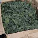 Christmas Cedar Garland with Soft Thickness Pine,Thick and Lush,Artificial Green Faux Cedar Pine Garland for Christmas Winter Home Mantel Fireplace Holiday Party Décor (9FT)