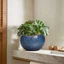10 Inch Plant Pot - Ceramic Planter for Indoor Outdoor, Round Bonsai Pots, Decorative Flower Pots with Drainage Hole, Modern Unique Planters, House Decor, Home Gifts, Retro Blue