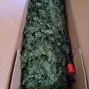 National Tree Company Christmas Tree wlth Lights 6 ft