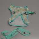 Dog Harness And Matching Leash, Size L