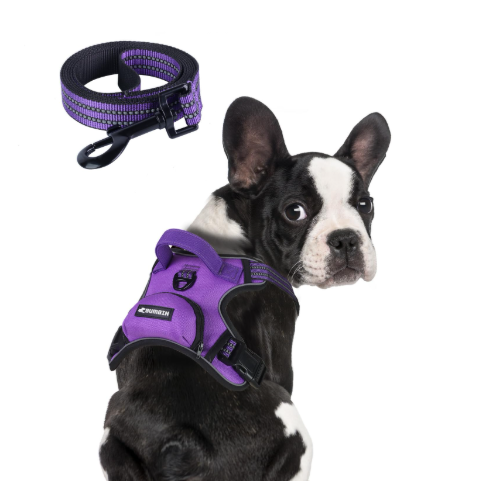 BUMBIN Dog Harness for Large Dogs, No Pull Adjustable No Choke Pet Vest with Dog Leash Fit Smart Reflective Pet Walking Harness for Training Easy Control Soft Handle Purple S
