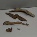 Azil Natural Driftwood 9''-12'' (2 Pieces)  Perfect Aquarium Decoration for Fish Tanks, Freshwater Aquariums, Terrariums, Aquascaping, Hardscaping, Aquatic Plants