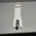 PAT JUUMG Funny Cat Hand Towels for Bathroom Kitchen Decor Towel,Cute Decorative Hanging Face Towels,Super Absorbent Soft, Housewarming Gift,Cat Lovers Gifts for Women (Grey Cat)