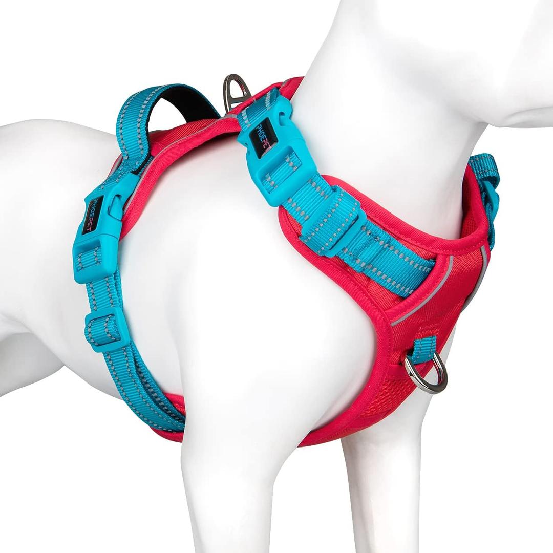 PHOEPET No Pull Dog Harness, Unique Colors Reflective Adjustable Dog Vest, with Soft Training Handle Metal Clips for Small Medium Large Dogs (Red Base & Teal Straps, M)