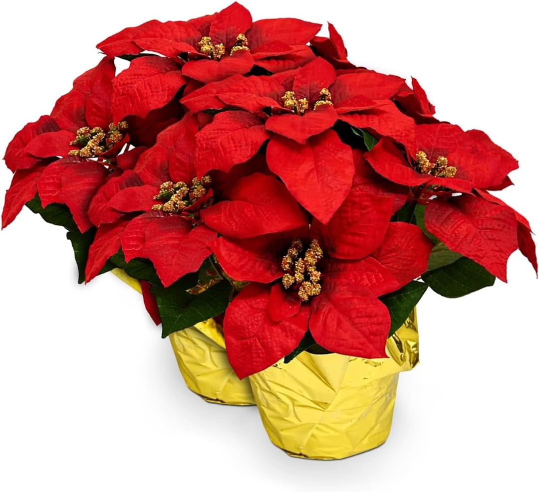 Creative Displays Large Premier Silk Poinsettia Plant Christmas Decorations, Amazingly Lifelike & Realistic, 17" x 15" (2 Pack) (Red)