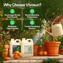 VIVOSUN Liquid Nutrients Base A & B Bundle, Grow Big Hydroponic Fertilizer, Supports Vegetative and Flowering Stages for Outdoor, Indoor Plants, Best Plant Food, Set of Quarts (32 Ounce)