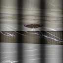 HOOBRO Plastic Storage Bins WG340CW01