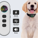 Lychee Training Collar 