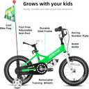 JOYSTAR Little Daisy Kids Bike for Girls Boys Ages 2-7 Years, 14 Inch Girls Bikes with Doll Bike Seat & Streamers, Boys Bike with Flag & Number Plate, Multiple Colors, With Training Wheels, Green