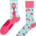 4 x Dedoles Unisex Socks for Women, Men and Kids Cotton Funny Designs Soccer Bicycle Horses Plants Gift Left Right Different (5-8 women / 3.5-6 men, Entangled Flamingo)