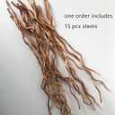Dried Curly Willow Branches, 14-15 Stems Dried Twigs Sticks 21-23 Natural Dried Plants Decorative Branches for Rustic Home Decor, Champagne Gold