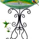 DREAMSOUL 20" Peacock Large Bird Bath Stand, Metal Bird Baths for Outdoors with Folding Bracket, 4.5 Inch Deep Birdbath for Garden Yard Decor