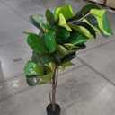 CROSOFMI Artificial Fiddle Leaf Fig Tree 62 Inch Fake Ficus Lyrata Plant with 68 Leaves Faux Plants in Pot for Indoor Outdoor House Home Office Garden Modern Decoration Perfect Housewarming Gift