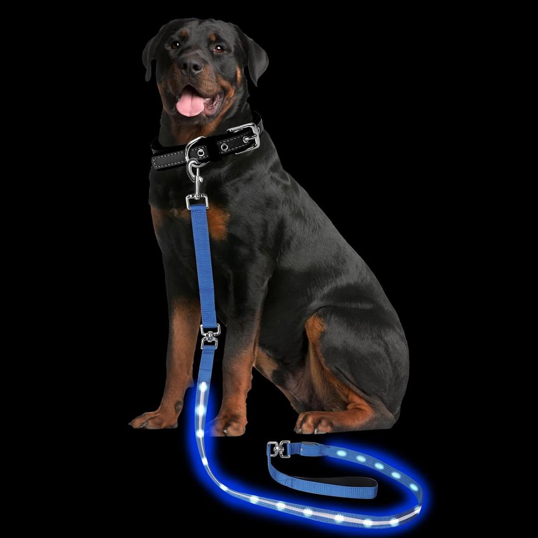 PetIsay Light up Dog Leash for Night Walking - USB C Rechargeable - Waterproof - Dog Leashes with Flashlight - LED Leash for Dogs - 6Ft, Blue
