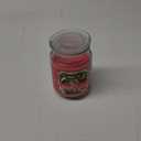CANDLE-LITE Everyday Scented Juicy Watermelon Slice Single-Wick Jar Candle, 18 oz, Pink