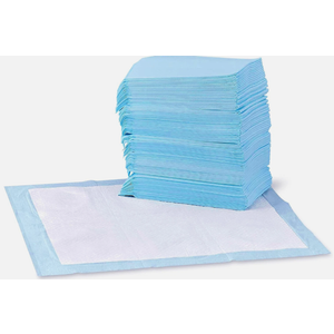 Basics Dog and Puppy Pee Pads, 5Layer LeakProof Super Absorbent, QuickDry Surface, Potty Training, Regular (22x22"), 100 Count, Blue & White