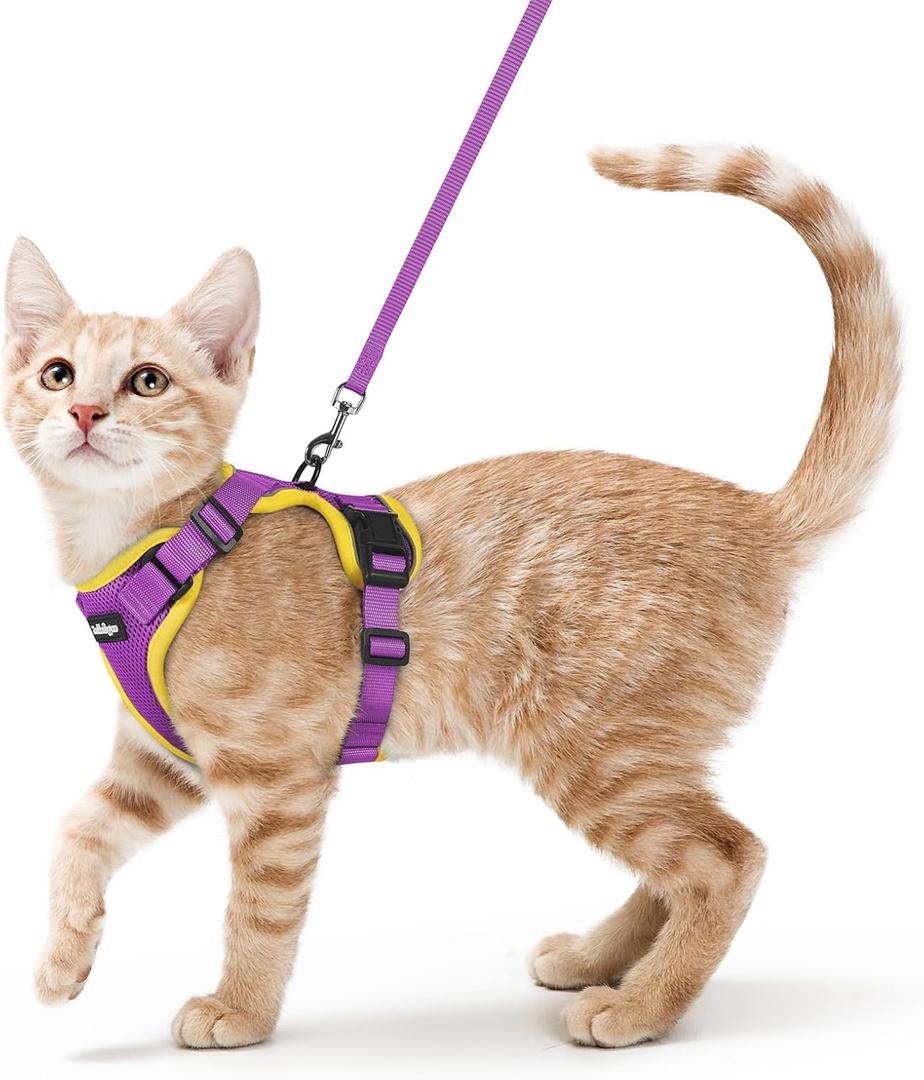 rabbitgoo Cat Harness and Leash Set, Escape Proof Vest, Purple & Yellow | Soft Breathable Mesh, Easy Adjustable Fit, Snap Buckles, Sturdy Clip, Reflective Strips, for Average Cats Walks, S