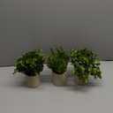 Der Rose 3 Pack Mini Potted Fake Plants Artificial Plastic Eucalyptus Plants for Home Office Desk Farmhouse Room Decor (Green)