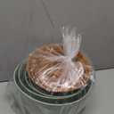 Plant Pots 10/9/8/7.5/7 Inch Self Watering Pots, Set of 5 Plastic Planters with Drainage Holes and Saucers,Plastic Flower Pots,Nursery Planting Pot for Indoor Out Door PlantsGreen