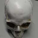 SOACH Resin Skull, 1:1 Human Skull, Human Head Model for Home Decoration, Halloween Statue, Bone Model, Model Anatomical Medical Skeleton, Jaw is Movable (White)