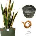 Waxed Canvas Handmade Hanging Planter for Indoor/Outdoor Plants, Hanging Basket Plant Holder Forest Green with Hook (Large 8")