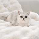 Cozy Kiss 27.5x59 Inch 100% Polyester Fiber Blanket, Soft and warm Fuzzy blanket