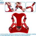 Best Pet Supplies Voyager Adjustable Step-in Flex Breathable Mesh Dog Harness for Small Medium Large Dogs (Red), XS