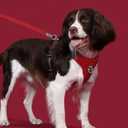 No Pull Dog Harness Medium Sized Dog,Stylish PU Leather Vest with Easy Control Handle,No Choke Front Clip with 2 Metal Leash Clips,Reflective & Adjustable for Walking,Red,Chest 22-29"