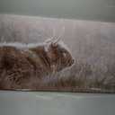 VAYIMDH Country Pictures Wall Decor Cow Canvas Wall Art Contemporary Wall Picture 29"x58" Large Artwork for Living Room Office Decorations