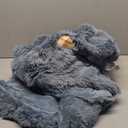 Bedsure GentleSoft Fluffy Light Sky Blue Throw Blanket, Dusty Baby Blue Decor Gifts for Women Men, Soft Cozy Fuzzy Plush Warm Minky Thick Sherpa Fleece Faux Fur Throw Blanket for Couch Bed, 50x60