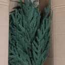 Norfolk Pine Christmas Tree Real Touch Faux Holiday Tree with Pot, Realistic Indoor Outdoor Decoration for Entryway, Living Room, Office, Apartment (3FT-2Pack)