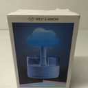 West & Arrow 9" Rain Cloud Light