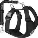 SlowTon Dog Seat Belt Harness for Car, Dog Car Harness Adjustable Mesh Breathable & Dog Seatbelt Safety Tether with Elastic Bungee for Small Medium Large Pets(Black, Double Clip, M)