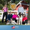 Evanger's Heritage Classics Beef & Bacon Dog Food  12 Count, 12.5 oz Each  Grain & Gluten Free Loaf for Dogs  Limited Ingredient Recipe  Natural Protein-Rich Nutrition