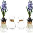 Small Glass Vases for Centerpieces - Hewory 6pcs Clear Mini Hyacinth Avocado Growing Bud Vase Bulk, Cute Tiny Flower Bulb Forcing Plant Containers Set for Wedding Home Living Room Table Decorations