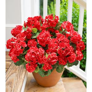Artificial Geraniums Fake Flowers for Outdoors Decoration, 6 Bundles Silk Geraniums Red Flower UV Resistant Look Real Faux Plants for Front Door Garden Porch Planter Patio Balcony Yard Indoor Home