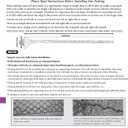 Aviary Netting Heavy Knotted 2 inch Poultry Net (25 ft x 50 ft)
