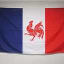 Walloon French Movement Flag 2' x 3' for a pole - Rattachism movement flags 60 x 90 cm - Banner 2x3 ft with hole - AZ FLAG